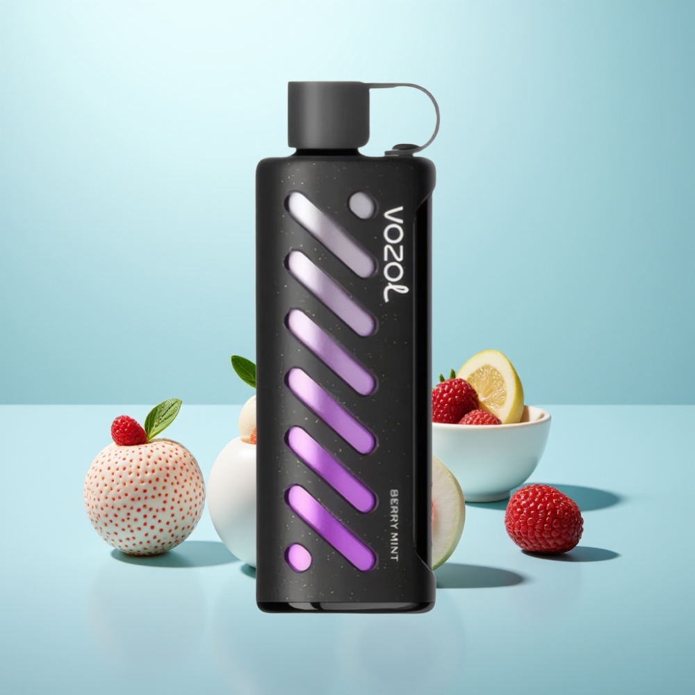 VOZOL Gear Shisha 25000 Puffs Berry Mint Dual Mesh 1000mAh 5mg/ml