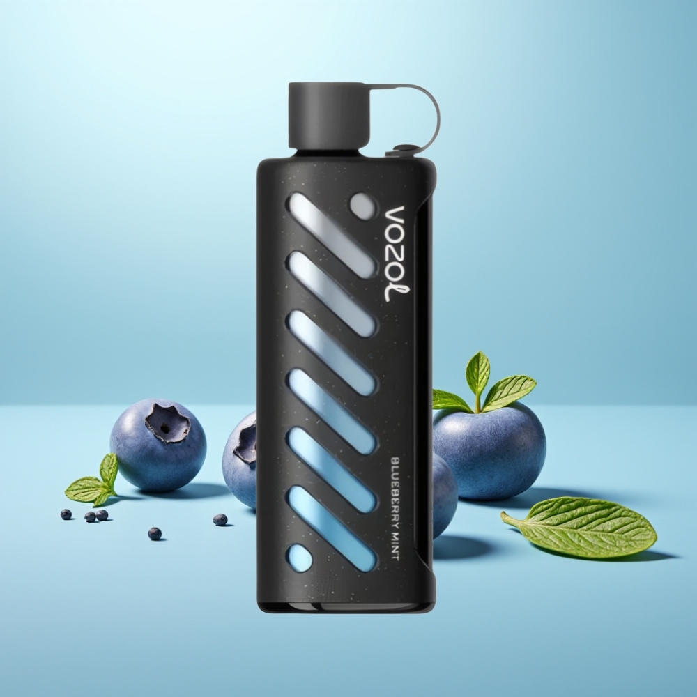 VOZOL Gear Shisha 25000 Puffs S.i.L.C Tech Dual Mesh 5mg/ml פטל נענע