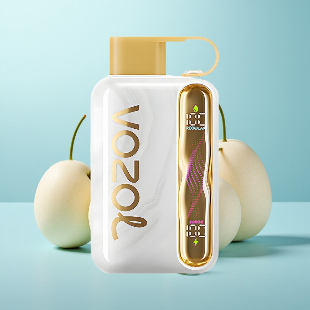 VOZOL STAR 40000 Puffs Vape חד פעמי מלון מסטיק 1000mAh Type-C 20/50mg/ml