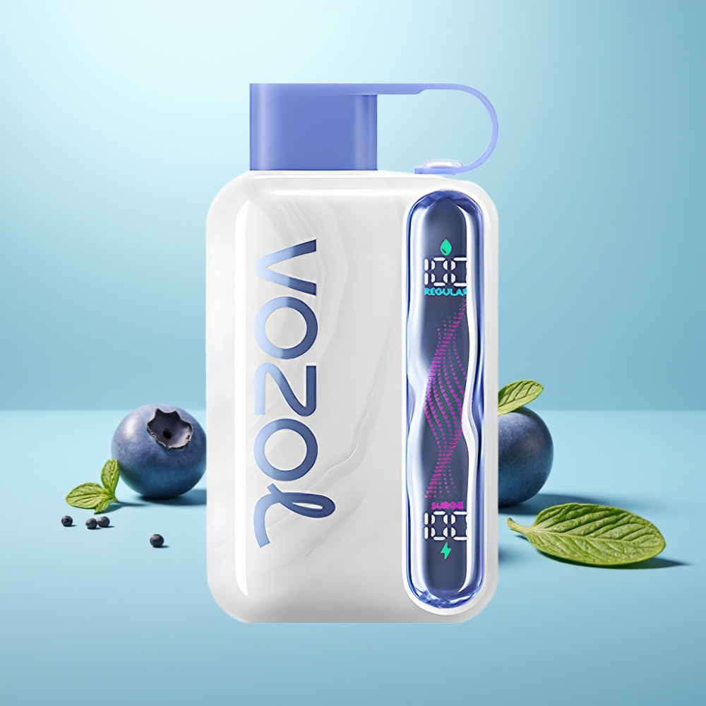 VOZOL STAR 40000 Puffs Vape חד פעמי 1000mAh Type-C נענע אוכמניות