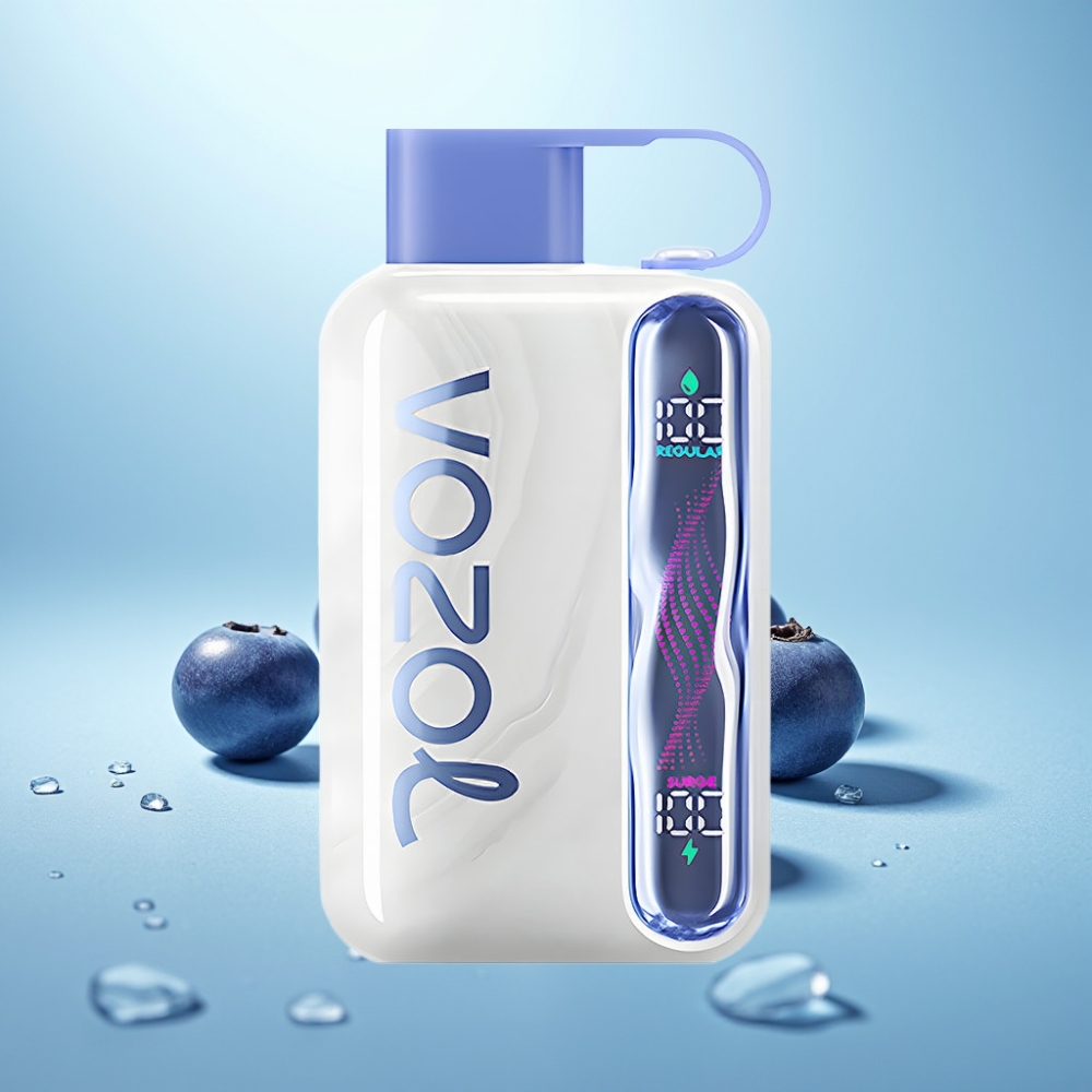 VOZOL STAR 40000 Puffs Vape חד פעמי Blueberry Ice 1000mAh Type-C 20/50mg/ml