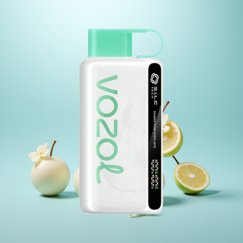 VOZOL STAR 9000/12000 Vape חד פעמי Cool Mint 30% Faster Charge 650mAh S.i.L.C TECH