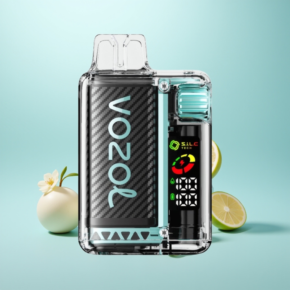VOZOL Vista 20000 Puffs Vape חד פעמי מנטה מיאמי עם סוללה נטענת 650mAh, כוח ניקוטין 2%, OLED Screen